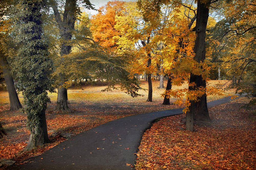 Entrance to Autumn art print by Jessica Jenney for $57.95 CAD