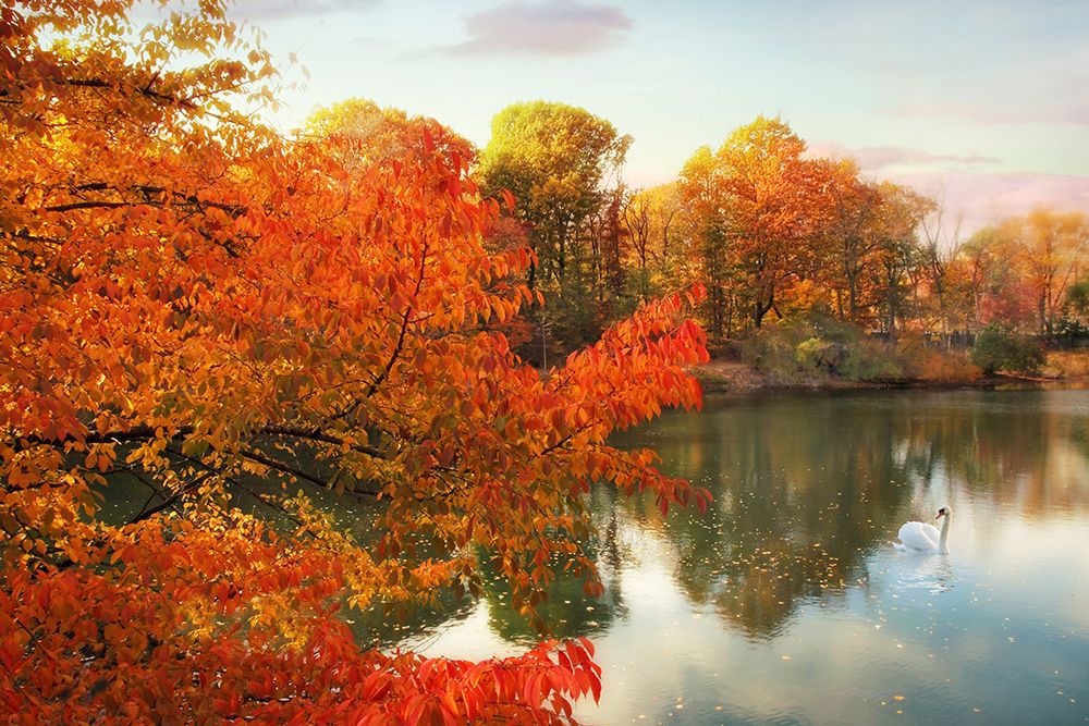 Autumn Splendor art print by Jessica Jenney for $57.95 CAD