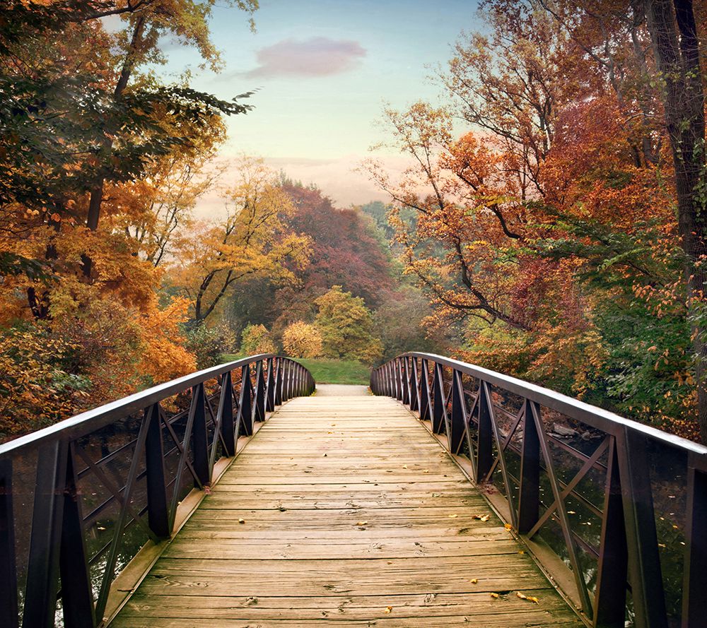 Autumn Encounter art print by Jessica Jenney for $57.95 CAD