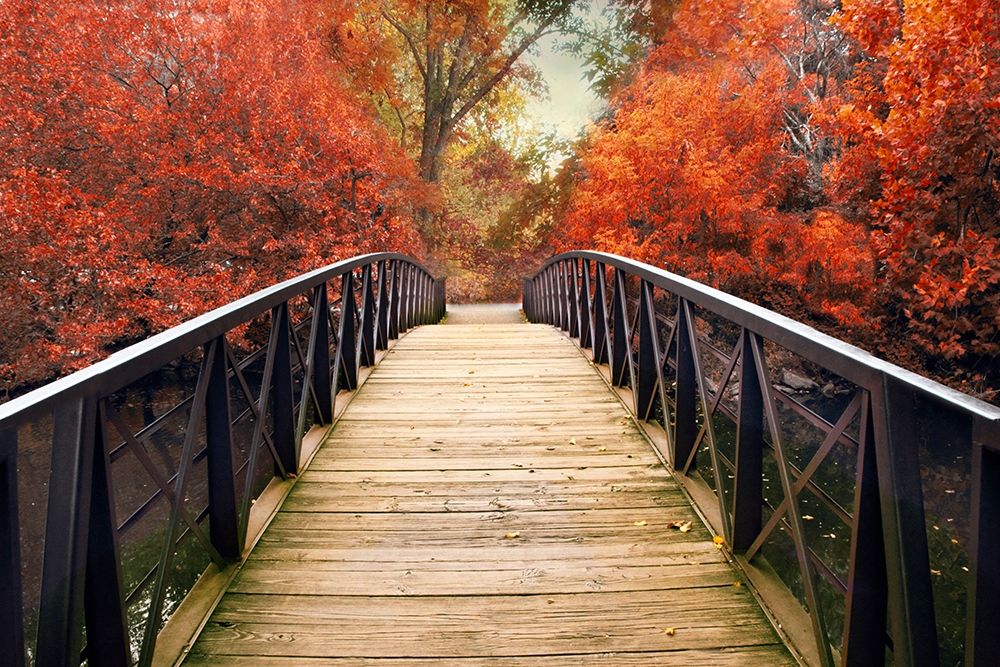 Ardent Autumn art print by Jessica Jenney for $57.95 CAD