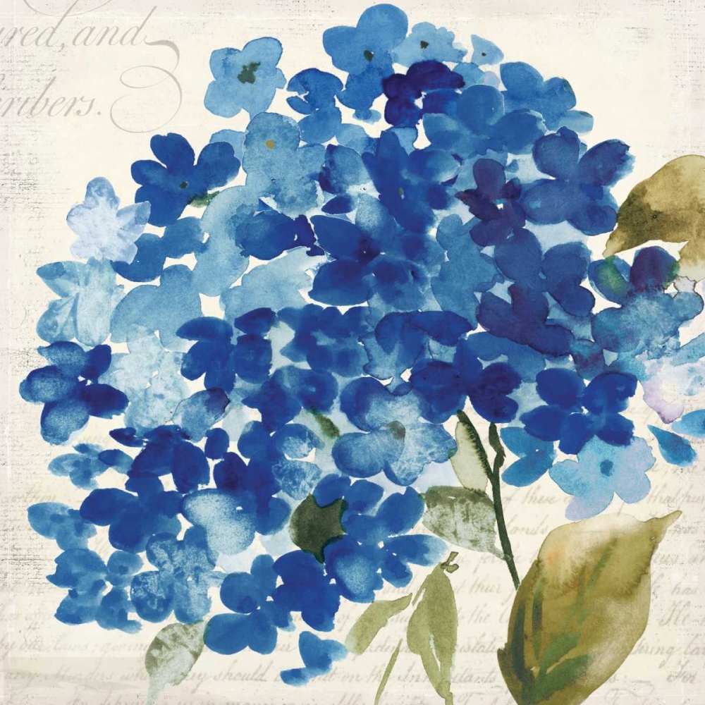 Hampton Hydrangea II art print by Asia Jensen for $57.95 CAD