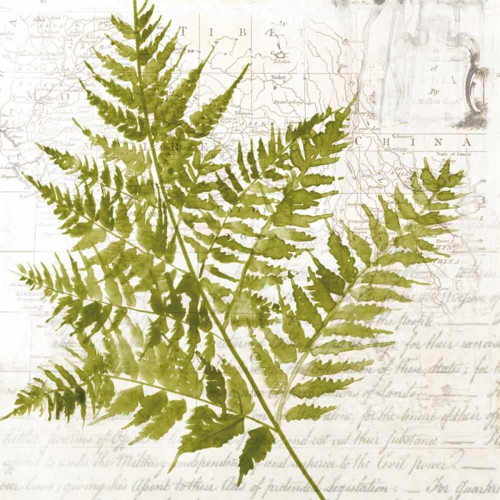 Fern I art print by Asia Jensen for $57.95 CAD