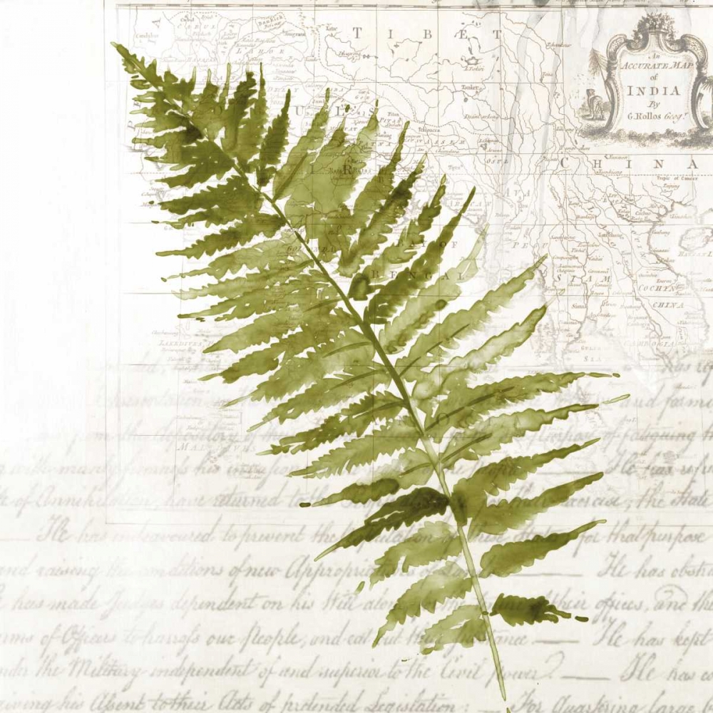 Fern II art print by Asia Jensen for $57.95 CAD