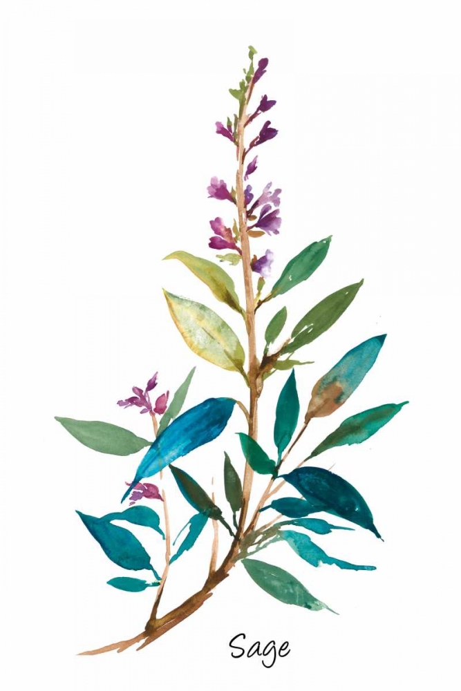 Sage II art print by Asia Jensen for $57.95 CAD