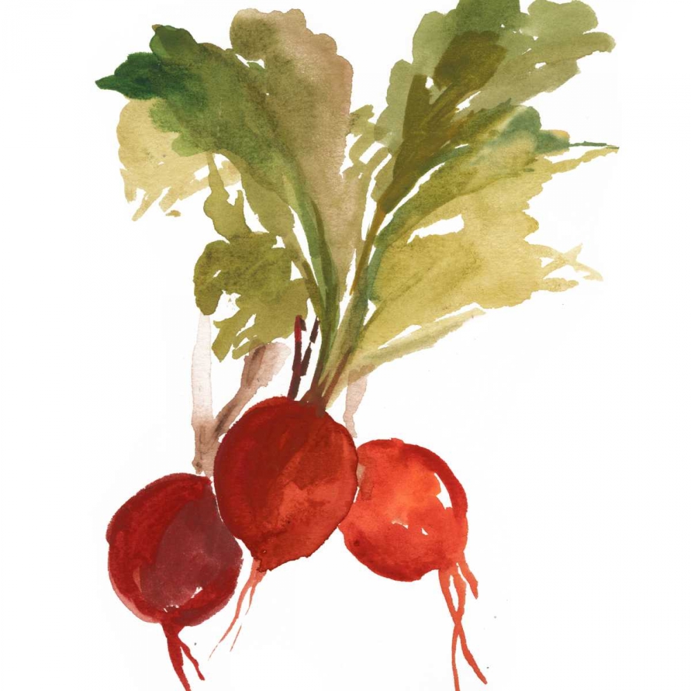 Radish art print by Asia Jensen for $57.95 CAD