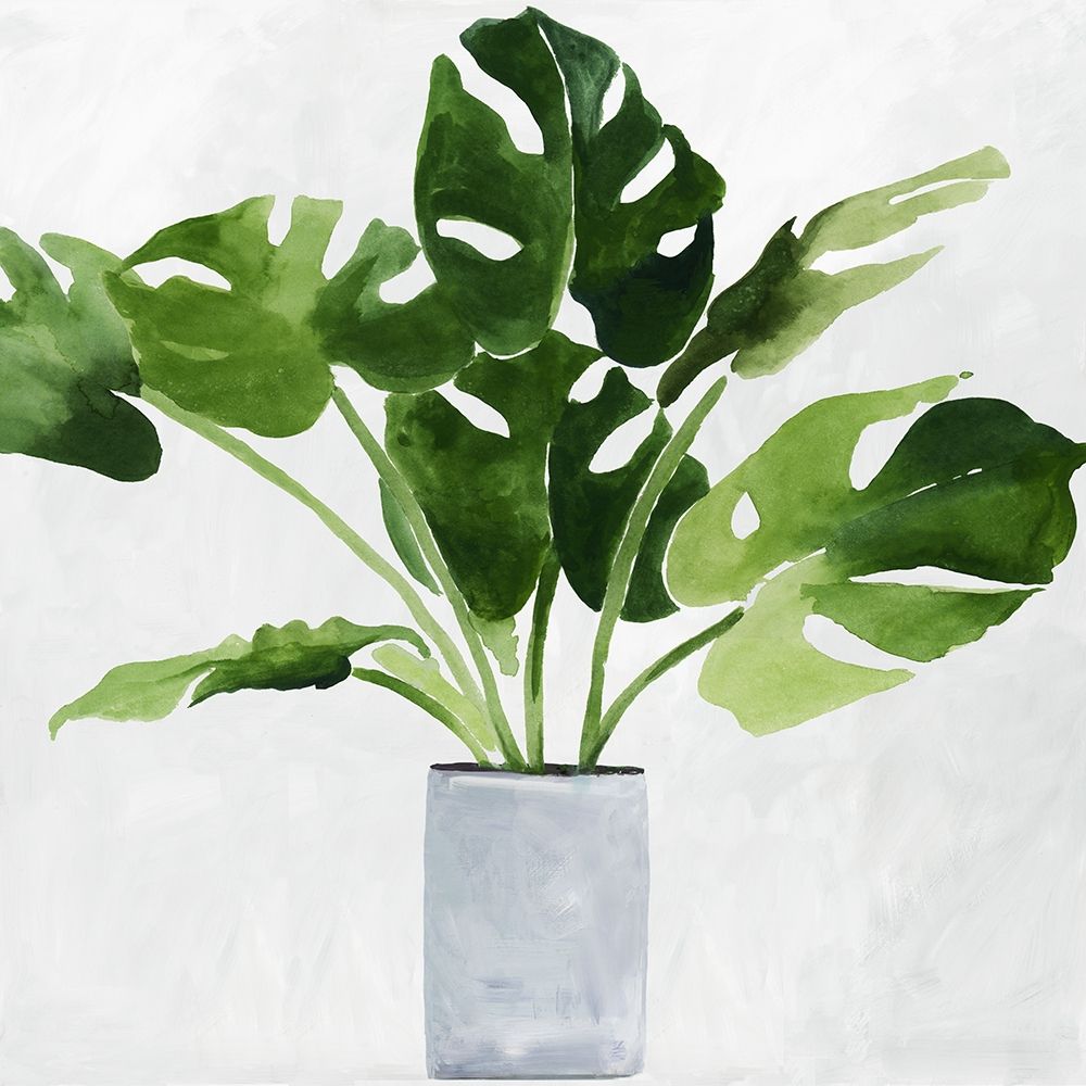 Green Plant art print by Asia Jensen for $57.95 CAD