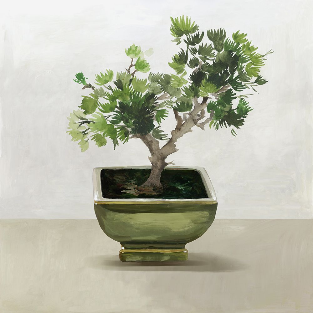 Bonsai Tree I art print by Asia Jensen for $57.95 CAD