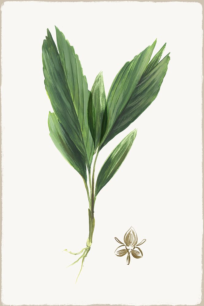 New Botana IV art print by Asia Jensen for $57.95 CAD