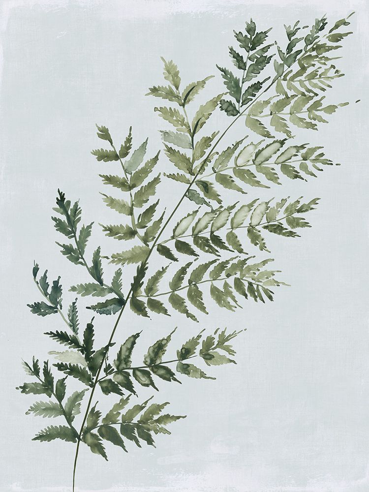 Green Fern I art print by Asia Jensen for $57.95 CAD