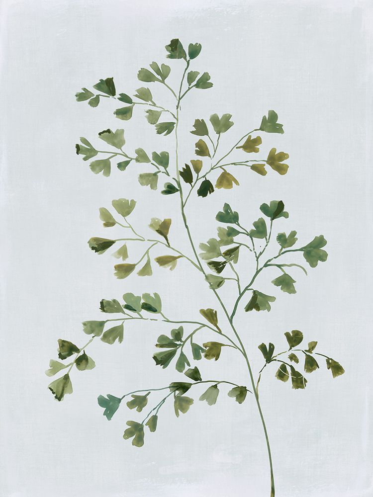 Green Fern II art print by Asia Jensen for $57.95 CAD