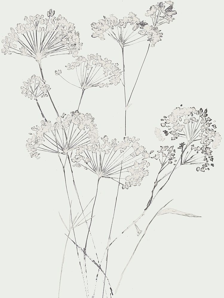 White Delicate I art print by Asia Jensen for $57.95 CAD
