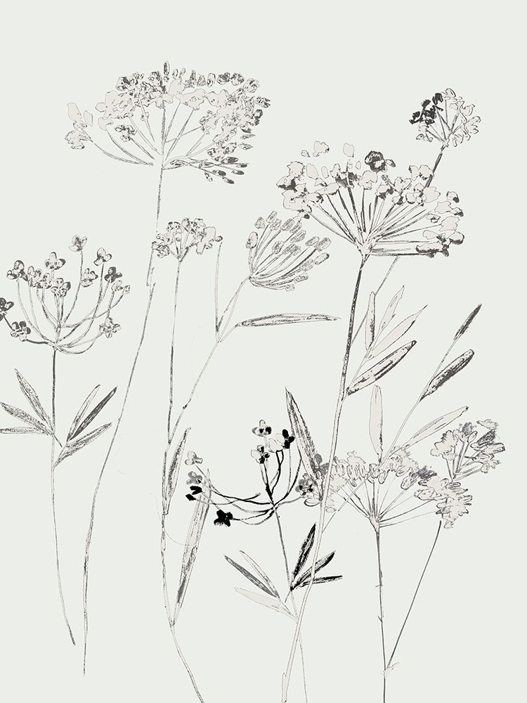 White Delicate II art print by Asia Jensen for $57.95 CAD