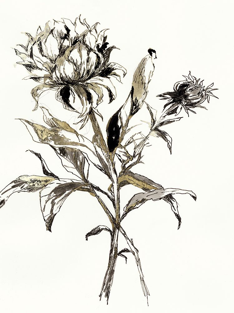 Botanical Seed I art print by Asia Jensen for $57.95 CAD