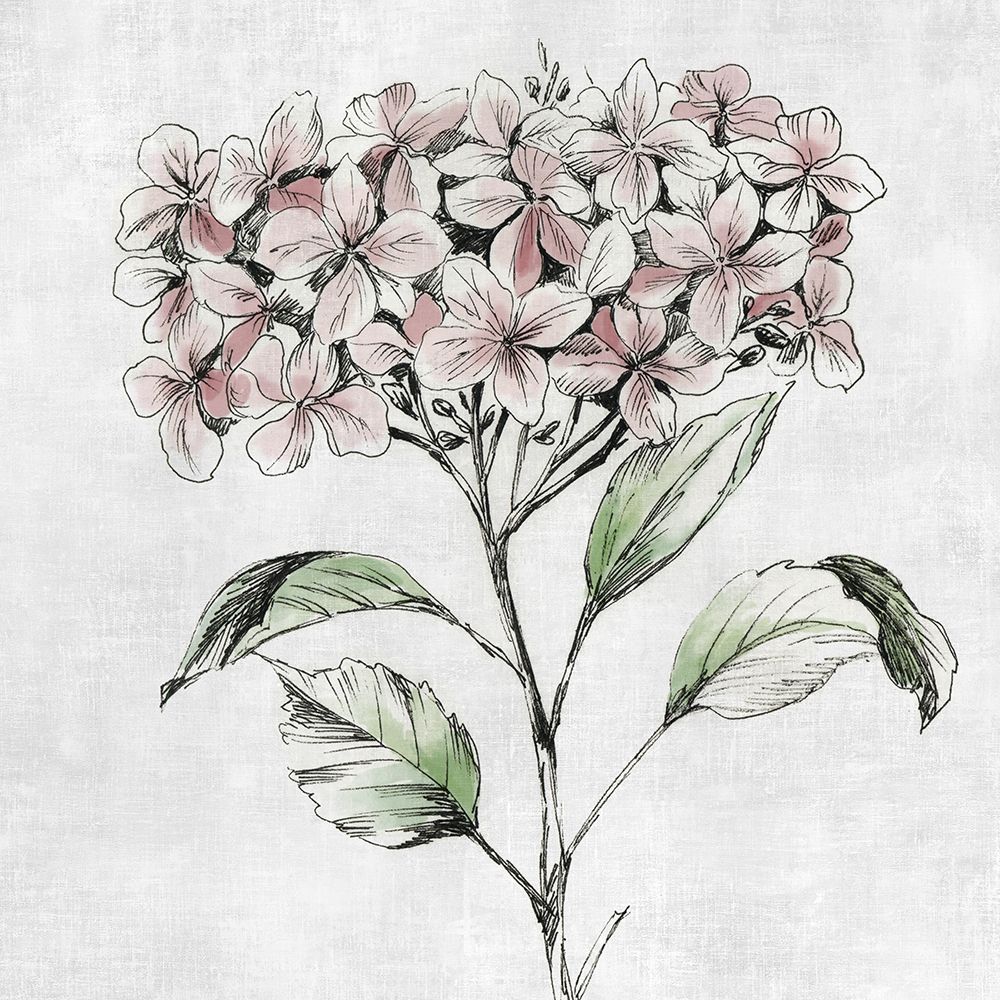Botanical Study II art print by Asia Jensen for $57.95 CAD