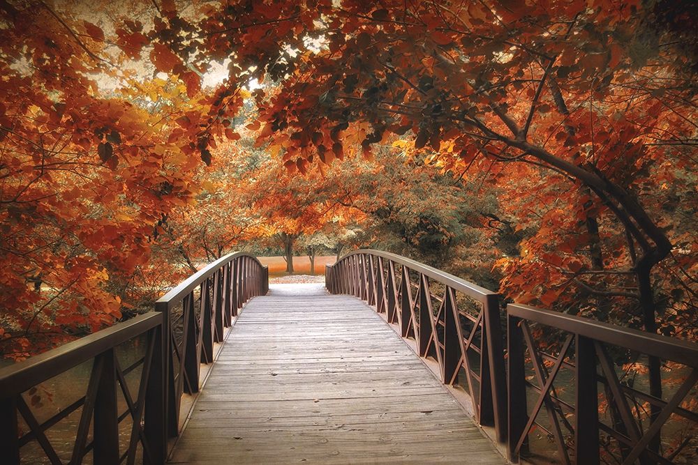 Footbridge art print by Jessica Jenney for $57.95 CAD
