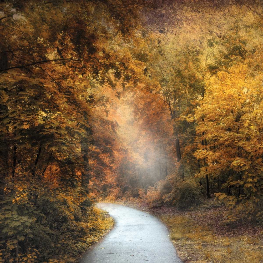 October Trail art print by Jessica Jenney for $57.95 CAD