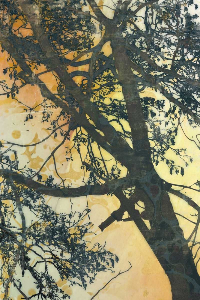 Bubbly Branches art print by James McMasters for $57.95 CAD