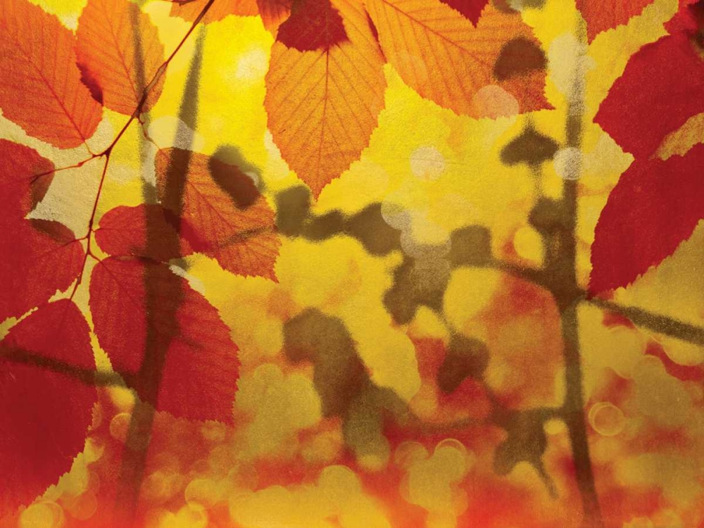 Golden Foliage art print by James McMasters for $57.95 CAD