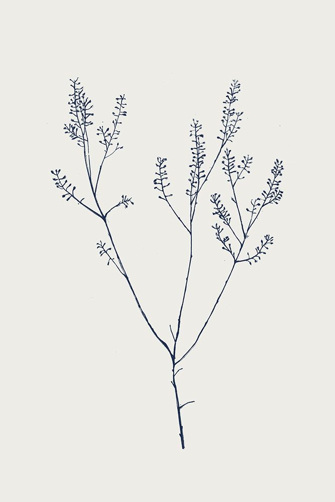 Graceful Day I art print by Flora B for $57.95 CAD