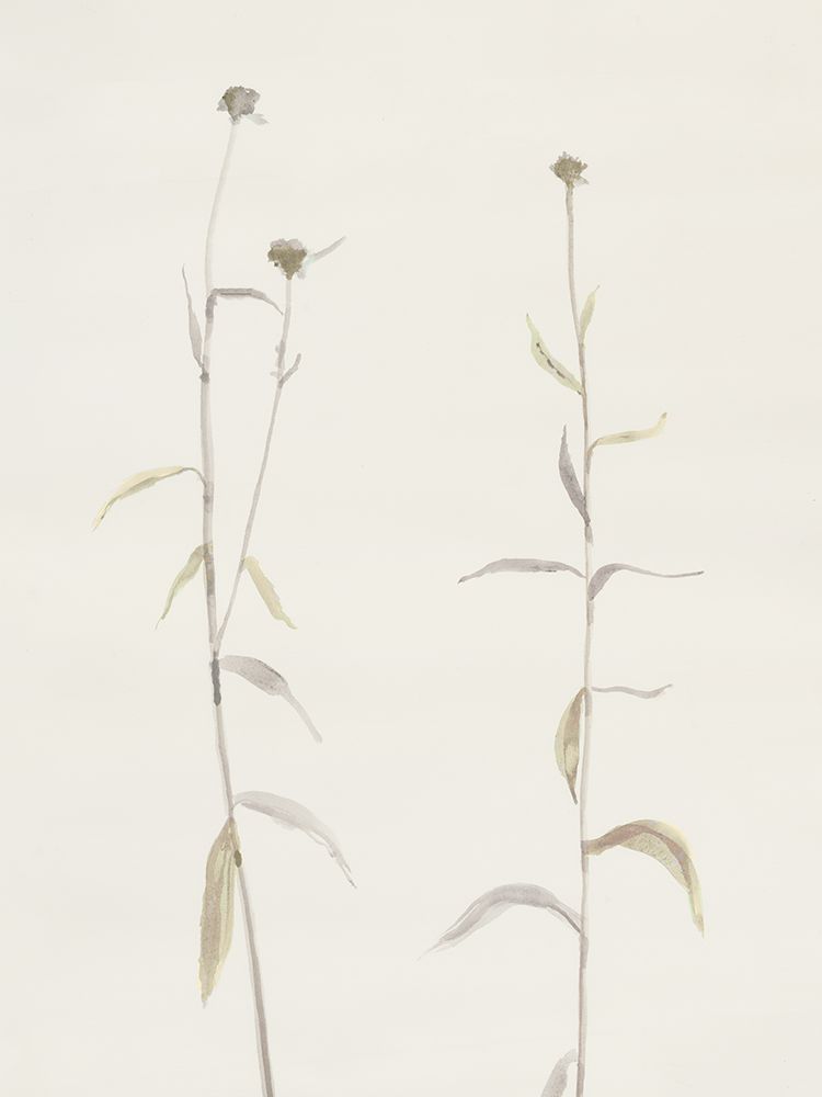 Soft Floral Elegance art print by Flora B for $57.95 CAD