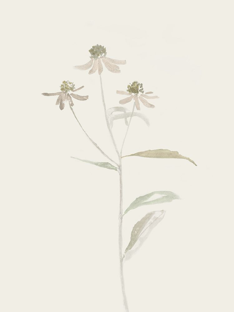 Fragile Blossom Dance art print by Flora B for $57.95 CAD