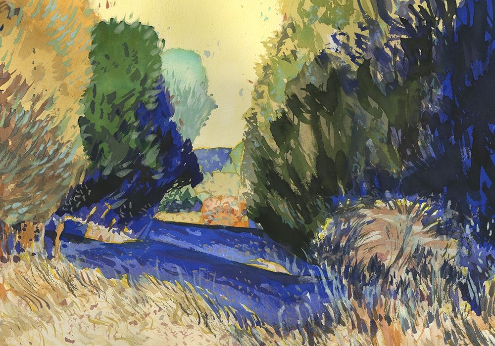 Albion Cedars art print by Brian Kelley for $57.95 CAD