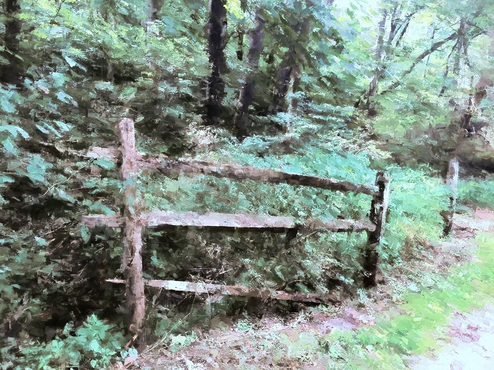 Abandoned Fence art print by Kim Curinga for $57.95 CAD