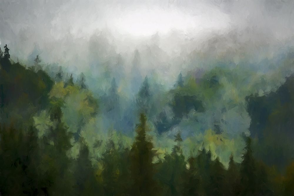 Misty Woods art print by Kim Curinga for $57.95 CAD