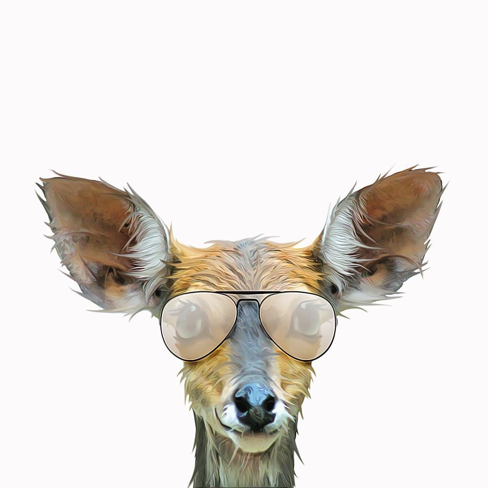 Daring Deer art print by Kim Curinga for $57.95 CAD