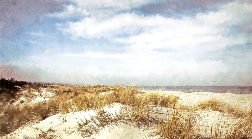 Dune Grass art print by Kim Curinga for $57.95 CAD