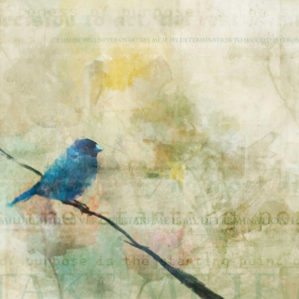 Nesting Bird I art print by Ken Roko for $57.95 CAD