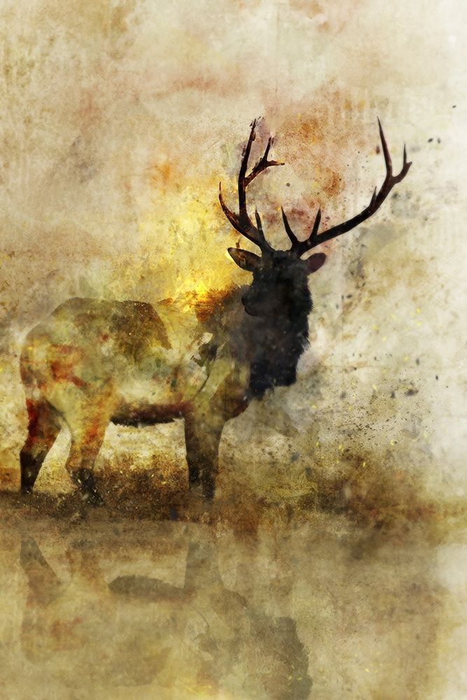 Calm Deer I art print by Ken Roko for $57.95 CAD