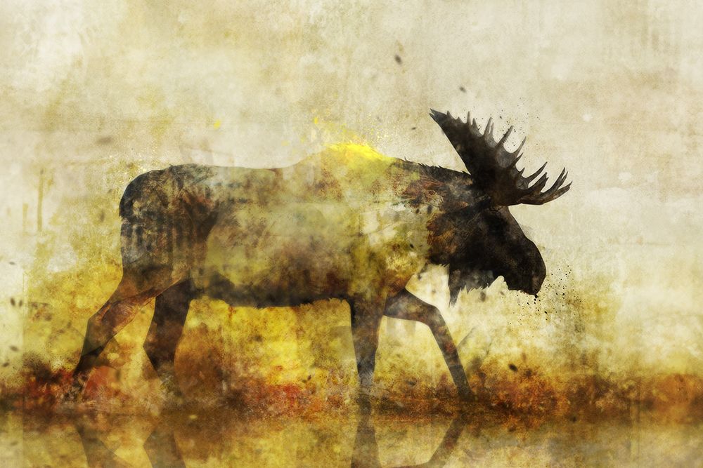 Happy Moose I art print by Ken Roko for $57.95 CAD