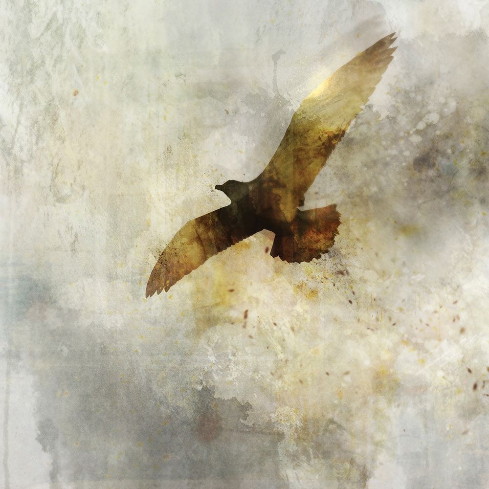 Ocean Flight II art print by Ken Roko for $57.95 CAD