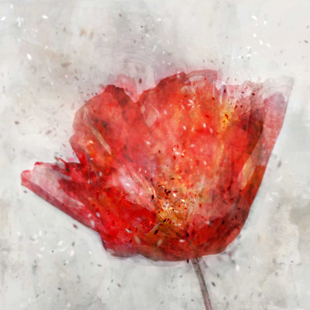 Inkly Floral II art print by Ken Roko for $57.95 CAD