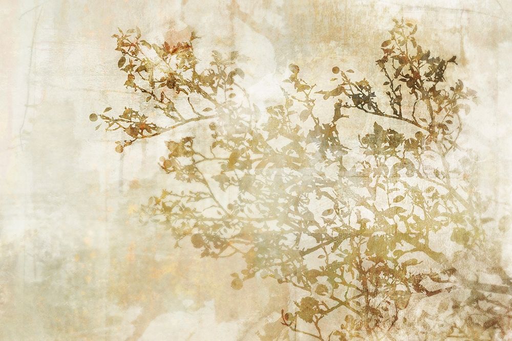 Dream of Trees I art print by Ken Roko for $57.95 CAD