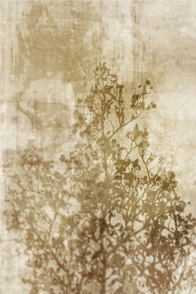 Dream of Trees II art print by Ken Roko for $57.95 CAD