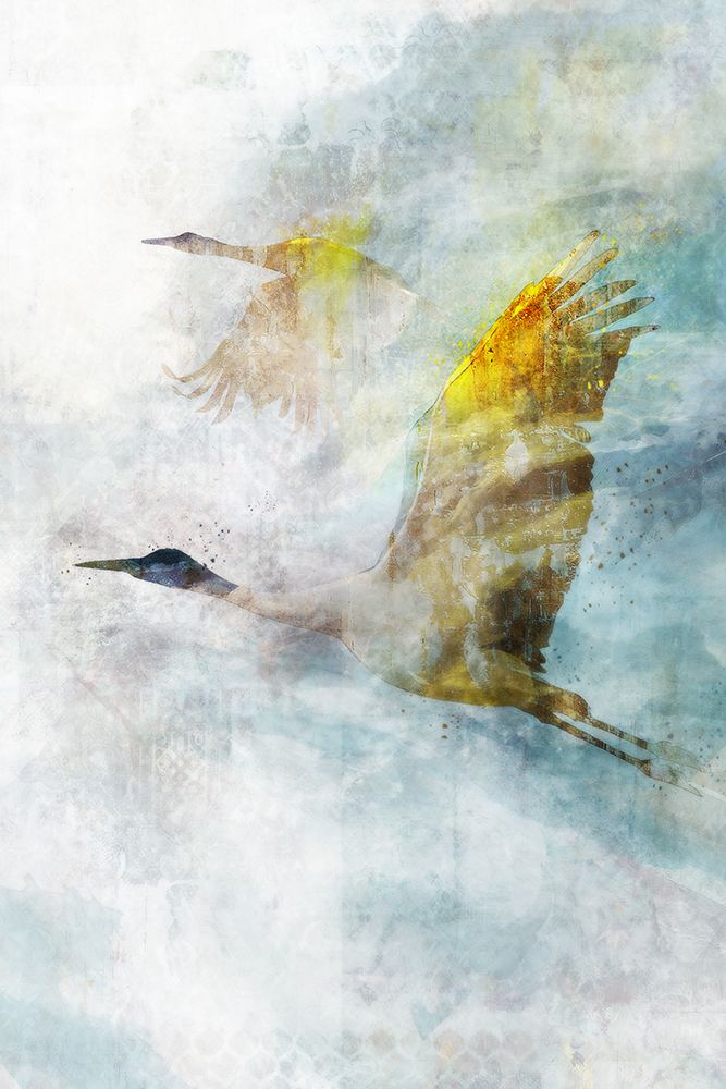 Crane Flight I art print by Ken Roko for $57.95 CAD