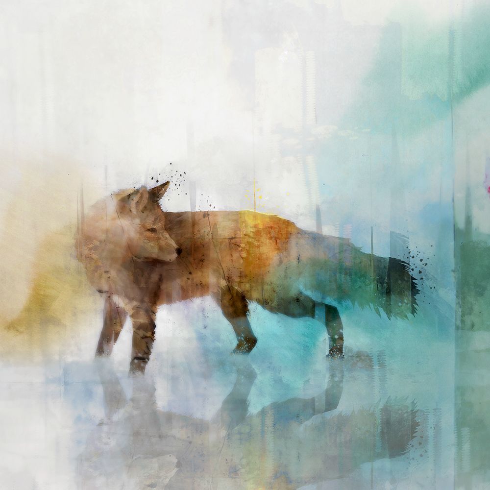 Fox on Teal II art print by Ken Roko for $57.95 CAD