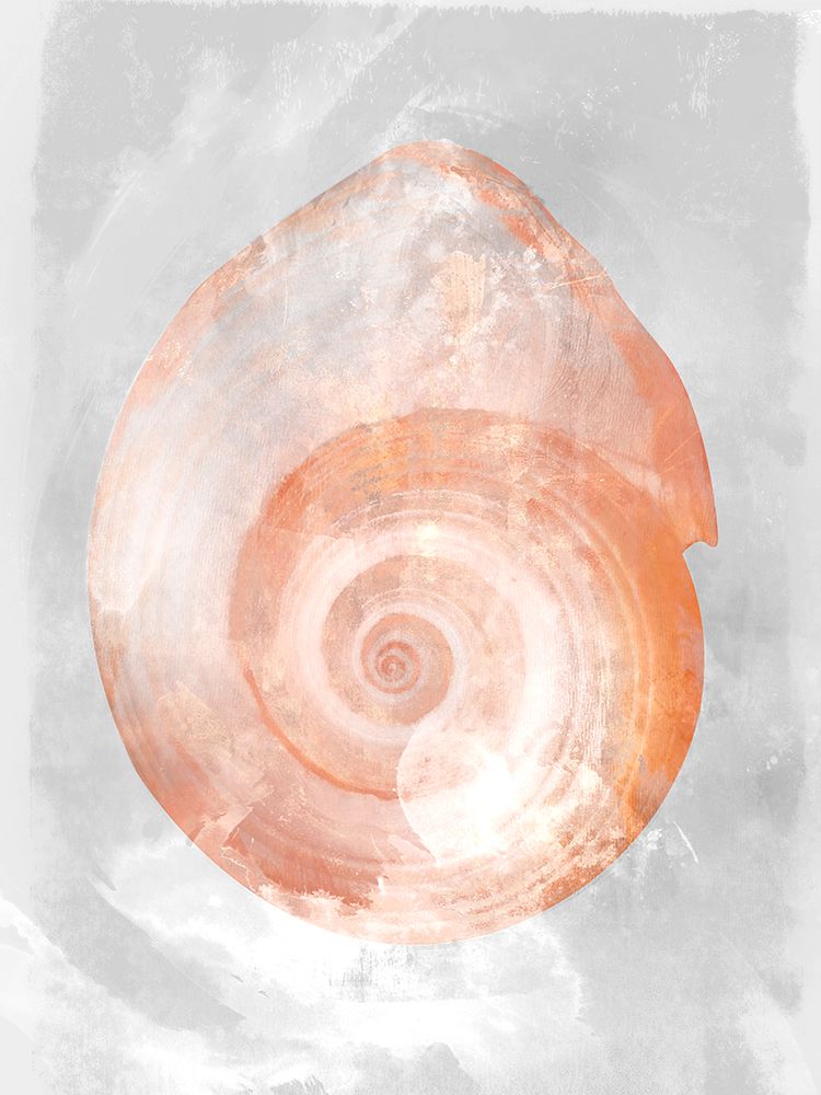 Coral Shell I art print by Ken Roko for $57.95 CAD
