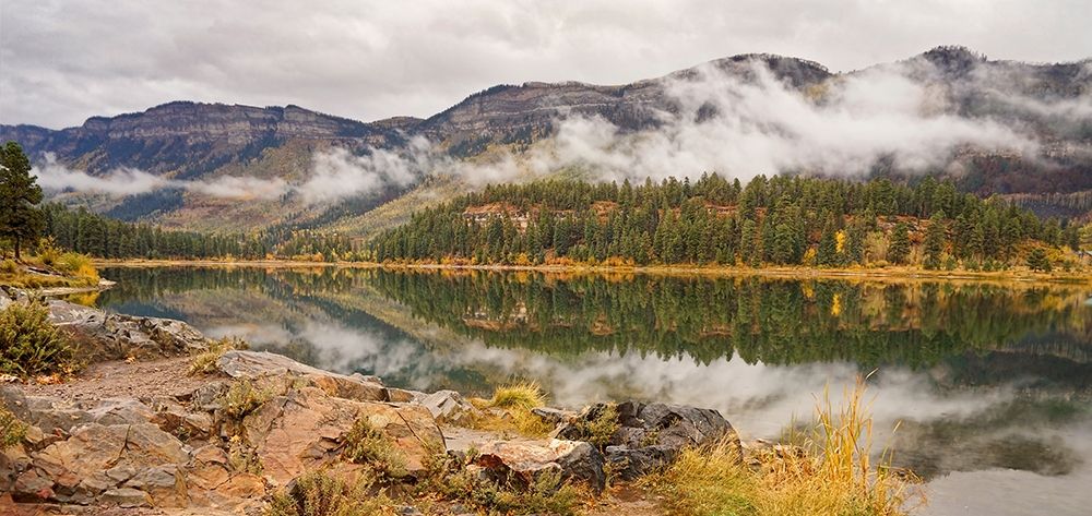 Mountain Mist II art print by Leda Robertson for $57.95 CAD