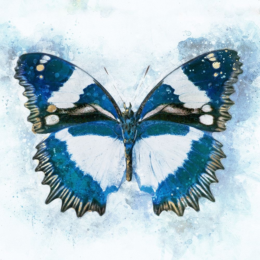 Flying Through Color art print by Leda Robertson for $57.95 CAD