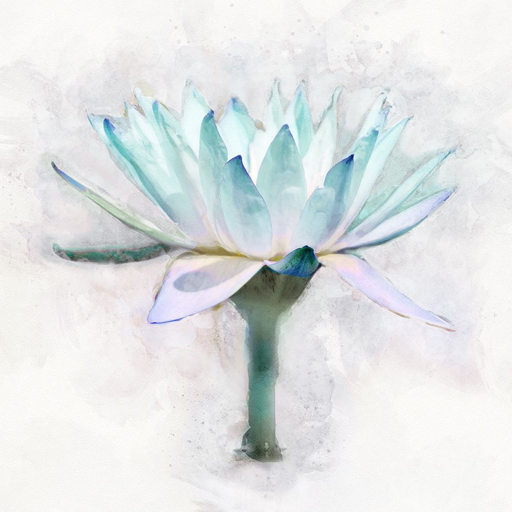 Radiance Reflected art print by Leda Robertson for $57.95 CAD