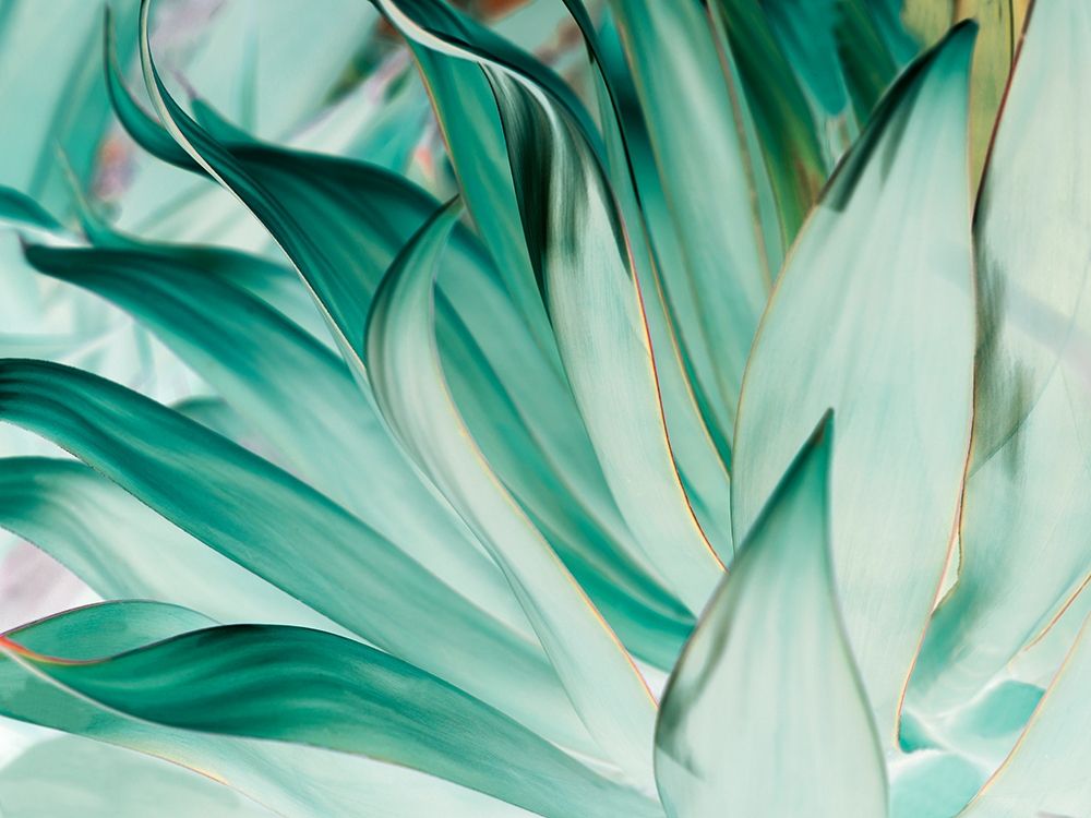 Prickle art print by Lily Mourier for $57.95 CAD