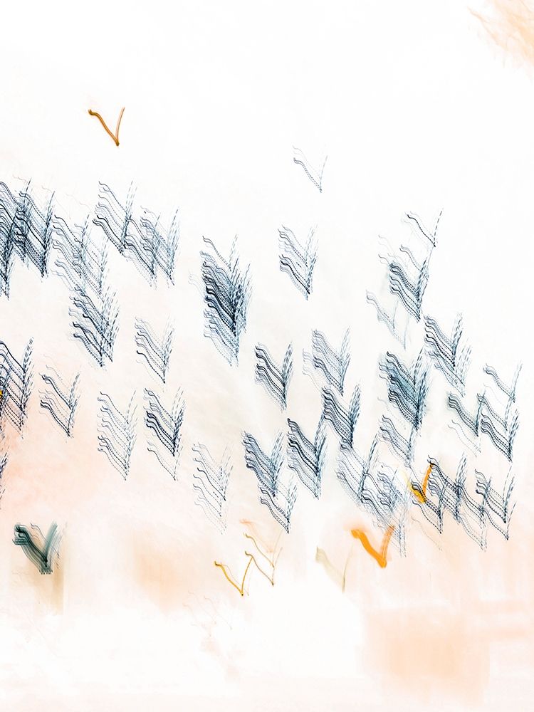 Brush Drag II art print by Lily Mourier for $57.95 CAD