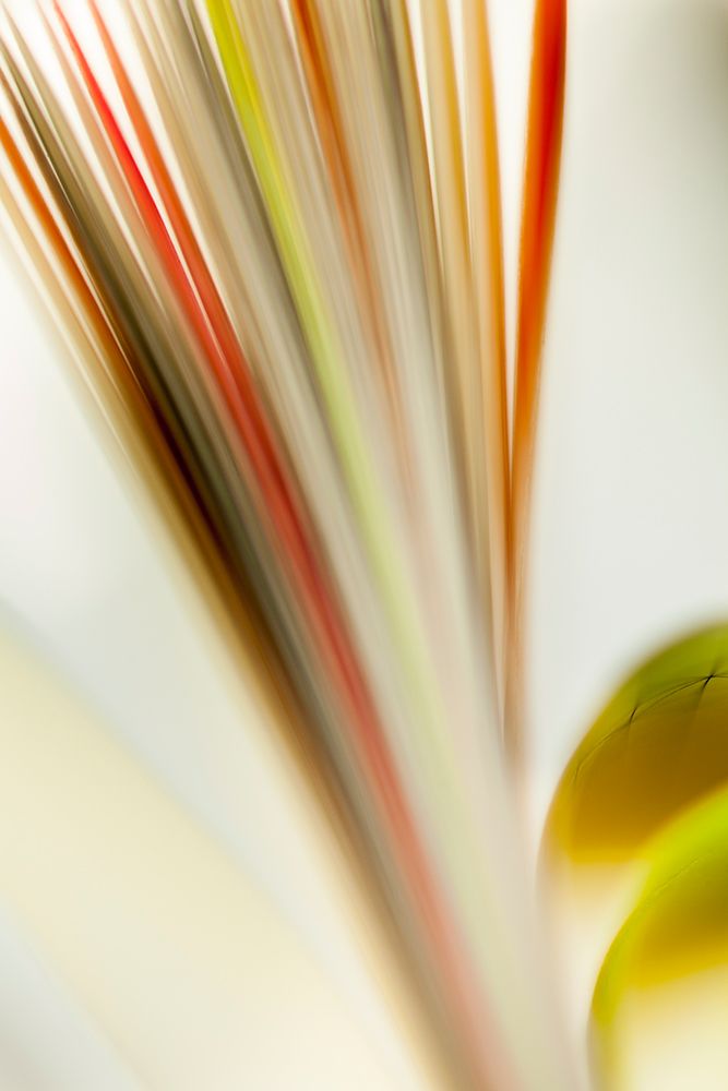 Turning Pages art print by Florence Delva for $57.95 CAD