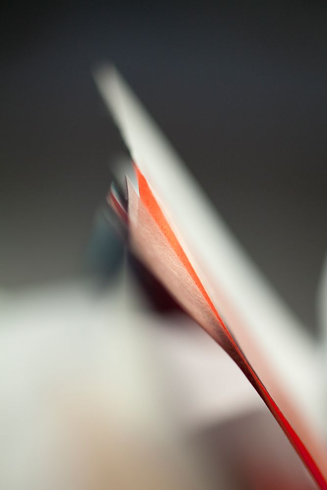 Chase art print by Florence Delva for $57.95 CAD