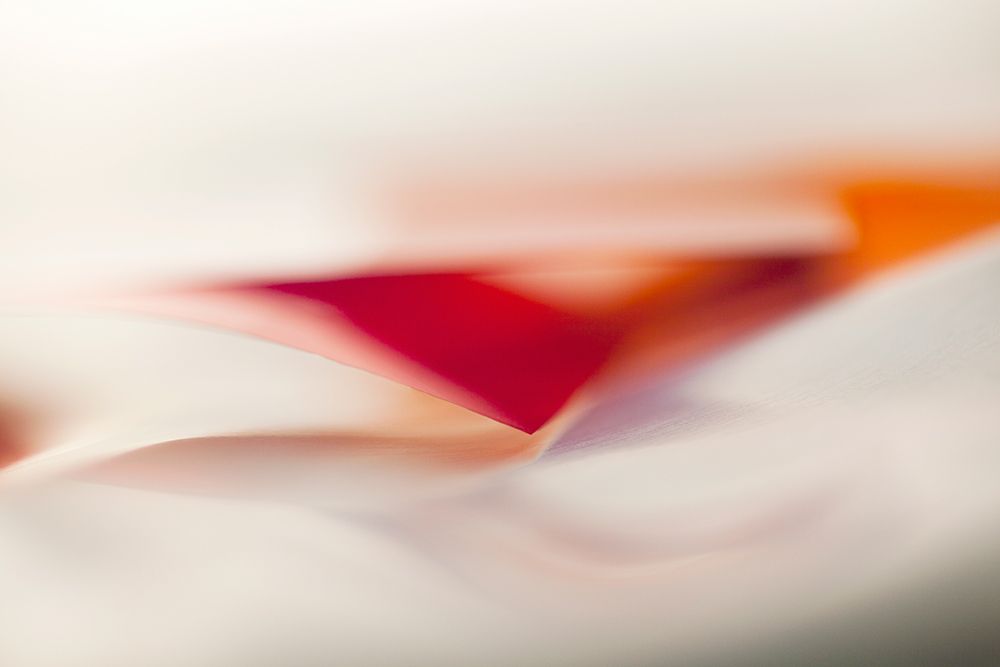 Notched II art print by Florence Delva for $57.95 CAD