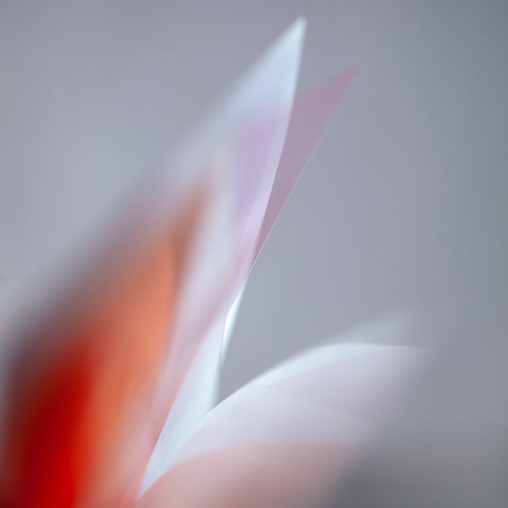 Emerging I art print by Lily Mourier for $57.95 CAD