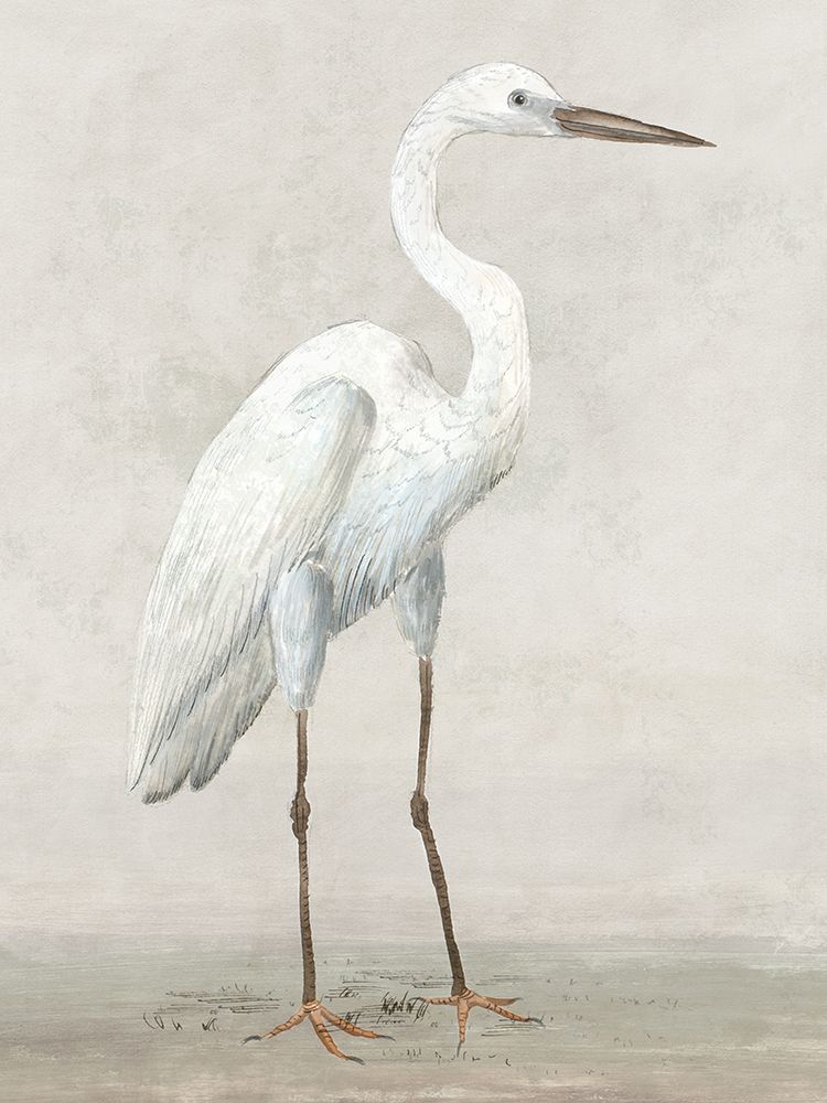 Vintage Heron I art print by Lily K for $57.95 CAD